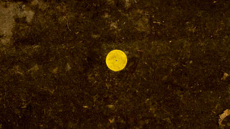 Yellow circle on the dark backgroundの写真素材