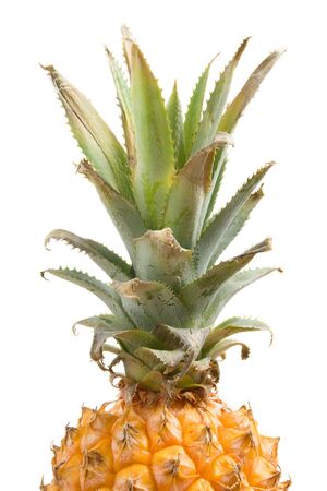 A fresh pineapple on a white background