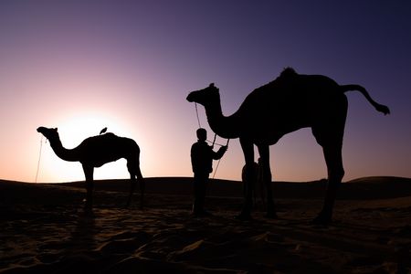 Silhouettes of two camels and their driver at sunrise - Thar desert, Rajasthan, Indiaの写真素材