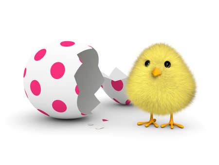 A fluffy yellow chick coming out of an easter egg shell  3D render 