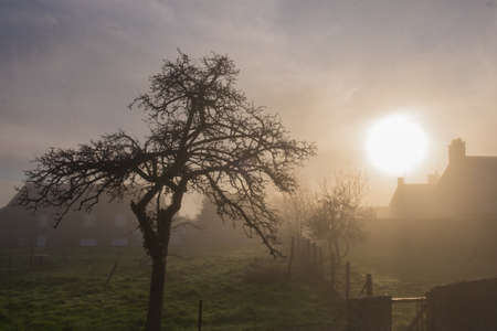 Sunrise on a foggy spring morning over a garden in a French villageの写真素材