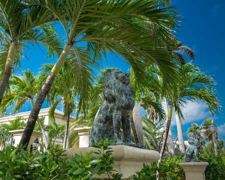 Bronze lion statues on stone pedestals by the  tropical vegetation, Grand Caymanの写真素材