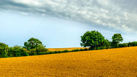 Plowed field at summertime in the East Sussex countryside,Englandの写真素材