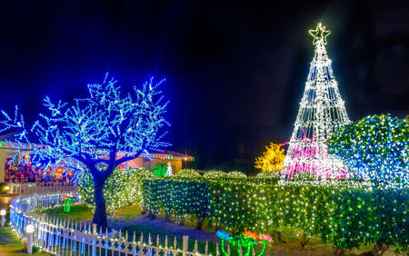 Christmas lights at night, Grand Cayman, Cayman Islands, Dec 2017の写真素材