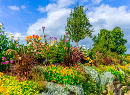 Rockery in St-Fraimbault in summer 2017, Orne, Normandy Franceの写真素材