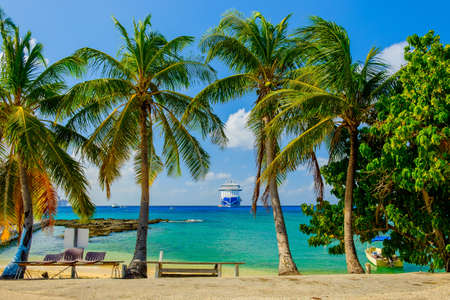 Grand Cayman, Cayman Islands, Dec 2018, cruise ship moored by George Townのeditorial素材