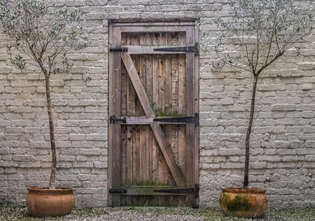 Wooden door with two small trees in pot in a back garden on a snowy day, Rye England U.Kの写真素材