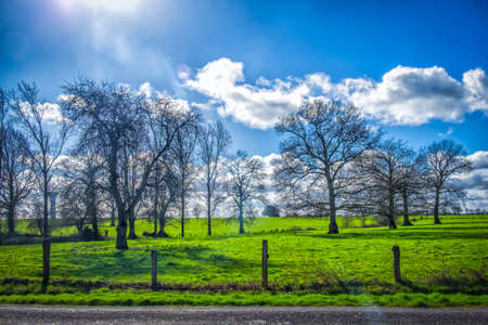 Farmland in Couesmes-Vauce on a sunny day in the Mayenne countryside on a winter day, France