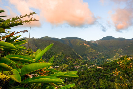 View from and of The Blue Mountains at sunset, Jamaicaの写真素材