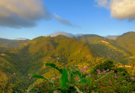 View from and of The Blue Mountains at sunset, Jamaicaの写真素材