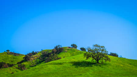 Malibu Creek State Park in the Santa Monica Mountains in spring 2019の写真素材