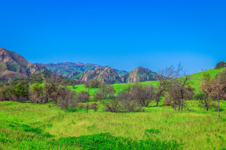 Malibu Creek State Park in the Santa Monica Mountains in spring 2019の写真素材