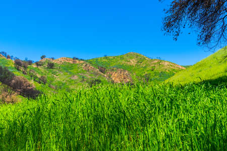 Malibu Creek State Park in the Santa Monica Mountains in spring 2019の写真素材