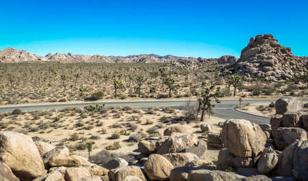 View of a cross road by a picnic area in Joshua Tree National Park, California, USAの写真素材