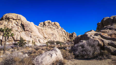 California, USA, view of a rock formation in Joshua Tree National Parkの写真素材