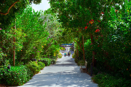 View of a path with a lush vegetation leading to Camana Bay, a waterfront place, Grand Cayman, Cayman Islandsの写真素材