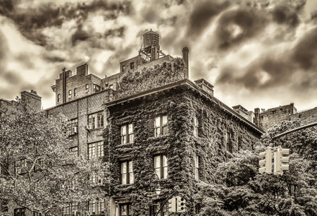 New York City, USA, May 14th 2018, top of a building with climbing plants on its facade in Irving Place, Manhattanの写真素材