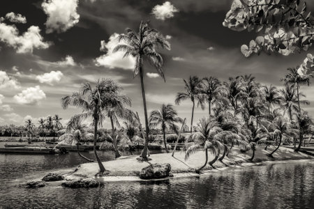 View of a man-made island on the Caribbean Sea at Camana Bay in Grand Caymanの写真素材
