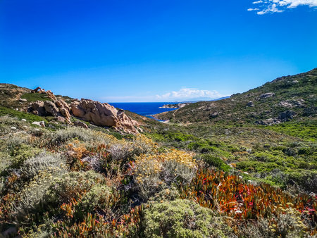 View of an l'Ile-Rousse landscape by the Mediterranean Seaの写真素材