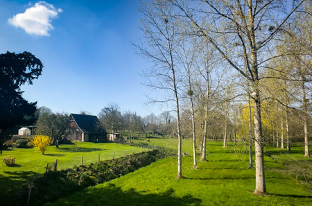 View of a Normandy landscape with a house in Passais Village, Ornesの写真素材