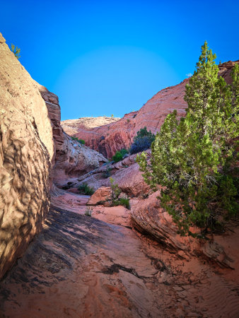 View of a landscape in the Escalante Canyons in the northeastern section of the Grand Staircase area, Utahの写真素材