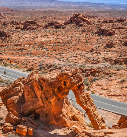 View of a rock formation that looks like an elephant in the Valley of Fire, Nevada, USA.の写真素材