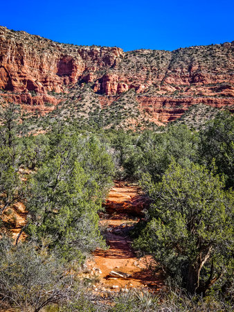 View of a landscape on the Courthouse Loop Butte Trail, in Coconino National Forest, Arizonaの写真素材