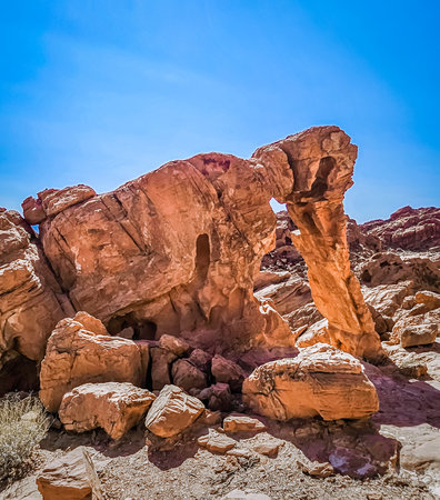 View of an elephant-shaped rock formation in the Valley of Fire, Nevada, USAの写真素材