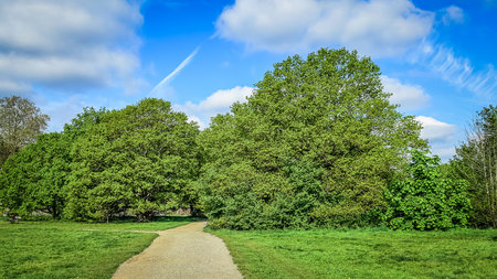 View of a pathway on Wimbledon Common at springtimeの写真素材