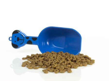 Cat foodの写真素材