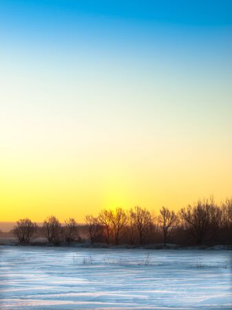 Winter fields at sunrise with soft HDR effectsの写真素材