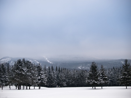 Mont-Tremblant south mountain side parkの写真素材