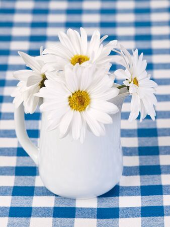 White gerberas in the pot on the tableの写真素材