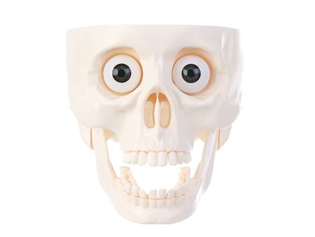 Plastic human skull  isolated on white background.の写真素材