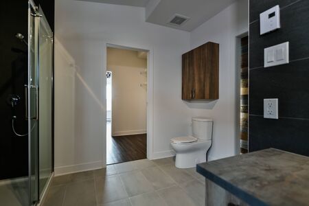 Modern bathroom with barn wood toilet viewの写真素材