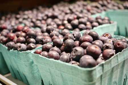 Fresh blueberries are displayed in a night time farmers market.の写真素材