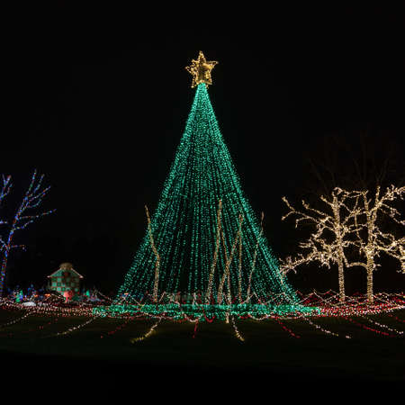 A large festive Christmas tree made of lights sparkles in the night sky in the weeks leading up to Christmas.の写真素材