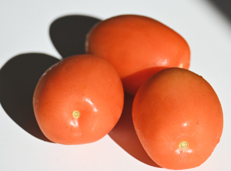 Tomatoes on a white background, close-up, selective focusの写真素材