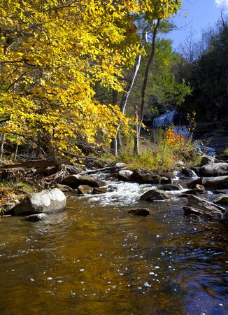 Beautiful Fall streamの写真素材
