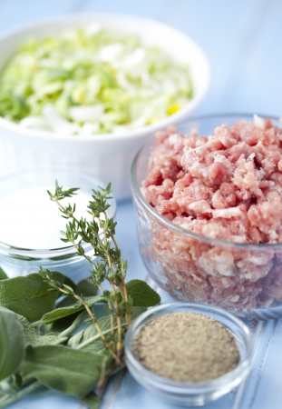 Ingredients of ground pork, leeks, sage and salt and pepperの写真素材