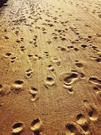 Footprintsの写真素材