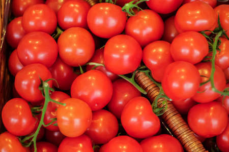 Red Tomatoの写真素材