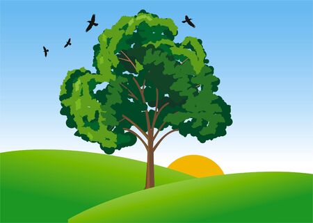 vector illustration of tree in green valleyのイラスト素材