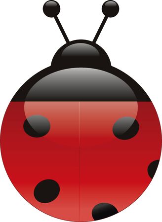Vector illustration of a ladybug in aqua styleのイラスト素材