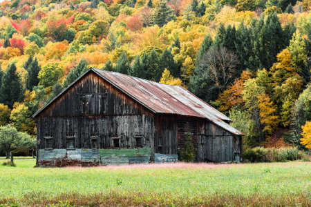 An old barn in a Vermont field during New Englands Fall Foliage seasonの写真素材
