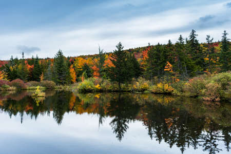 Fall Foliage in Vermont during peak autumn season