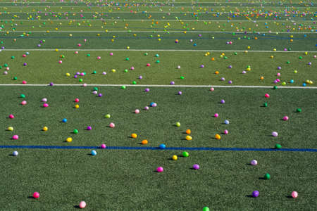 Easter egg hunt with plastic  colored eggs
