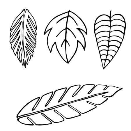 Set of hand-drawn leaves of different trees. Outline black-white vector illustration. For decorating and designing textiles, icons, cards, packaging, notebooks, stickers, paper, dishesのイラスト素材