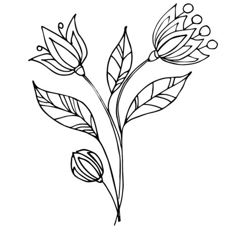 Decorative flower. Vector hand drawn illustration. For design and decoration. Coloring book, coloring pageのイラスト素材