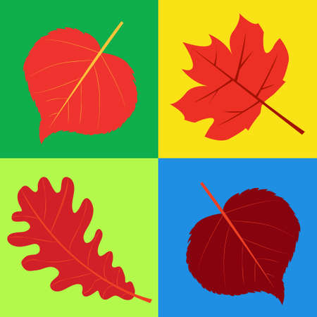 Set of four patterns with autumn leaves of oak, maple, linden on a colorful bright background. For cards, label design, notebook, packagingのイラスト素材